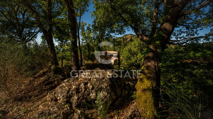 Image No.26-3 Bed Country House for sale