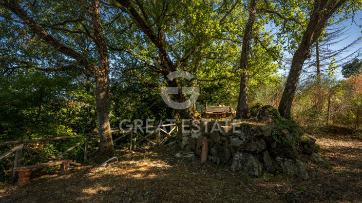 Image No.27-3 Bed Country House for sale