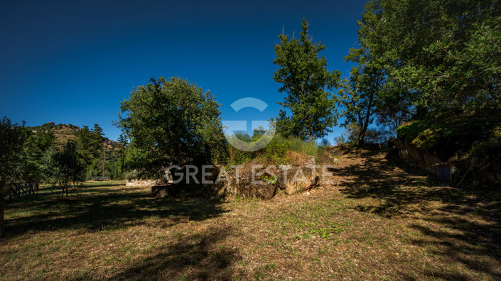 Image No.30-3 Bed Country House for sale