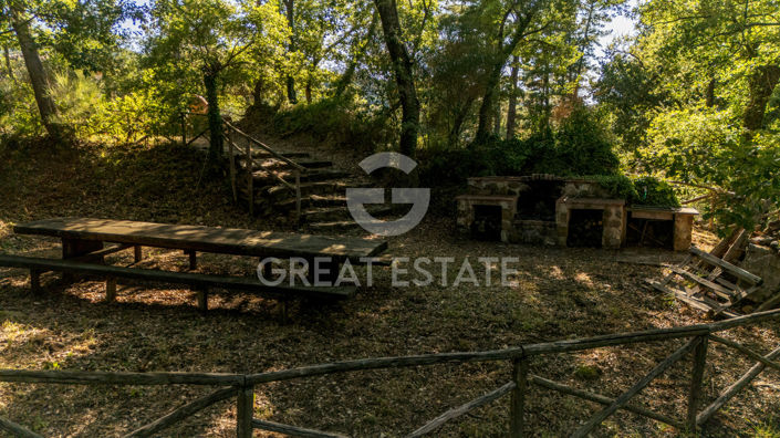 Image No.41-3 Bed Country House for sale