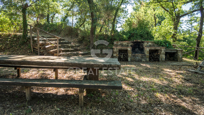 Image No.42-3 Bed Country House for sale