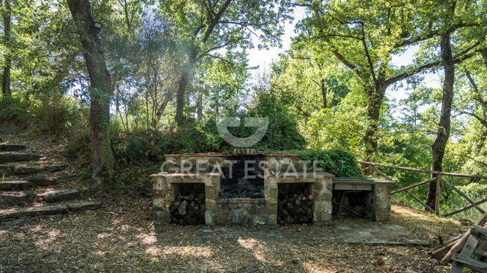 Image No.44-3 Bed Country House for sale