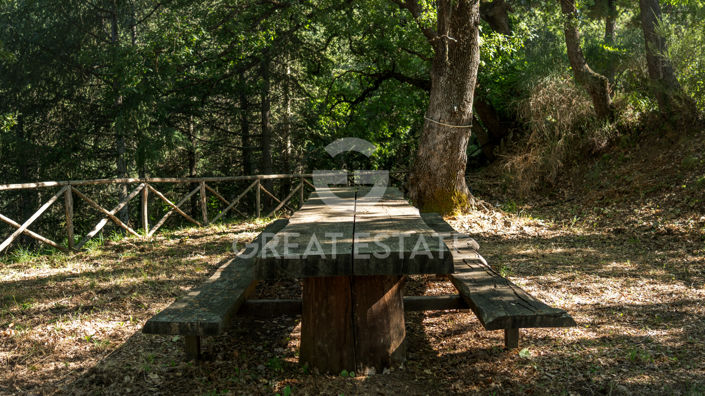 Image No.45-3 Bed Country House for sale