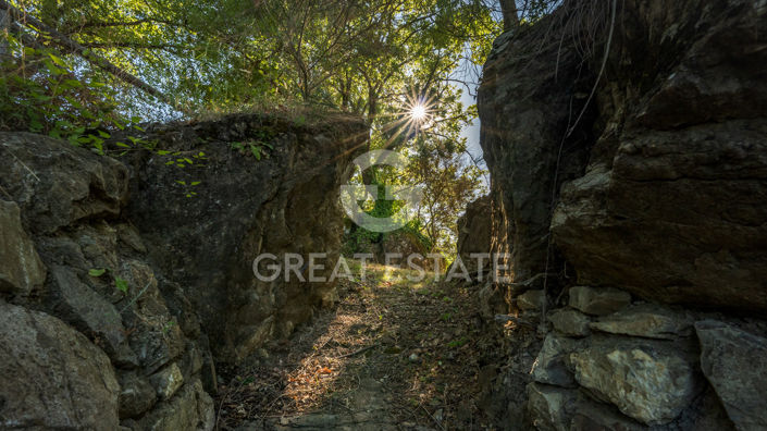 Image No.47-3 Bed Country House for sale