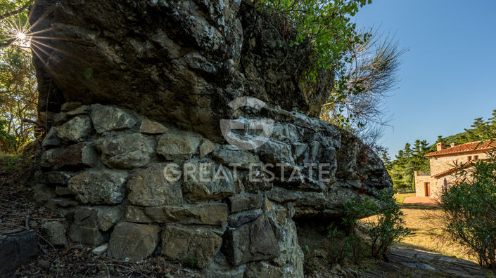 Image No.48-3 Bed Country House for sale