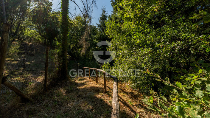 Image No.49-3 Bed Country House for sale