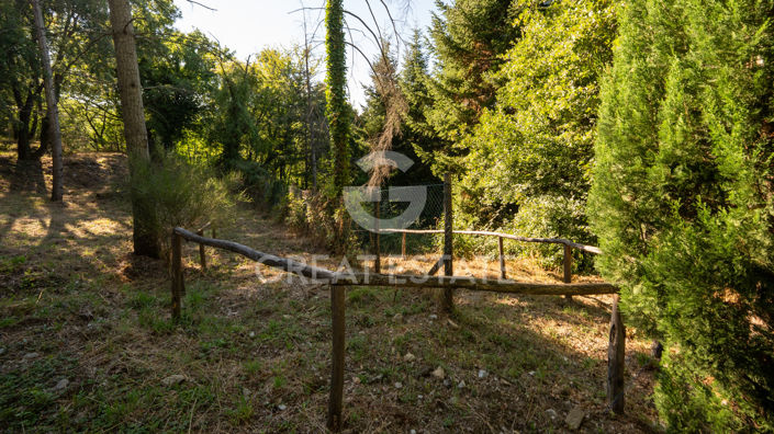 Image No.51-3 Bed Country House for sale