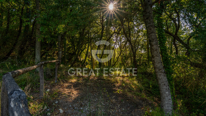 Image No.52-3 Bed Country House for sale