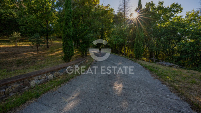 Image No.53-3 Bed Country House for sale