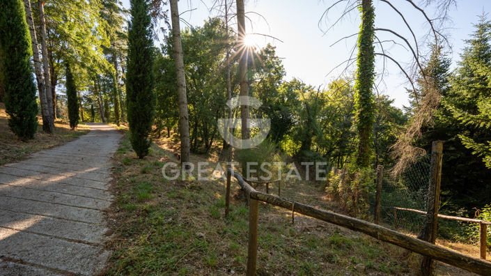 Image No.54-3 Bed Country House for sale