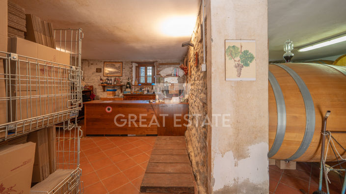 Image No.42-4 Bed Country House for sale