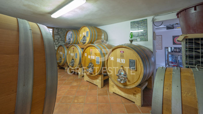 Image No.44-4 Bed Country House for sale