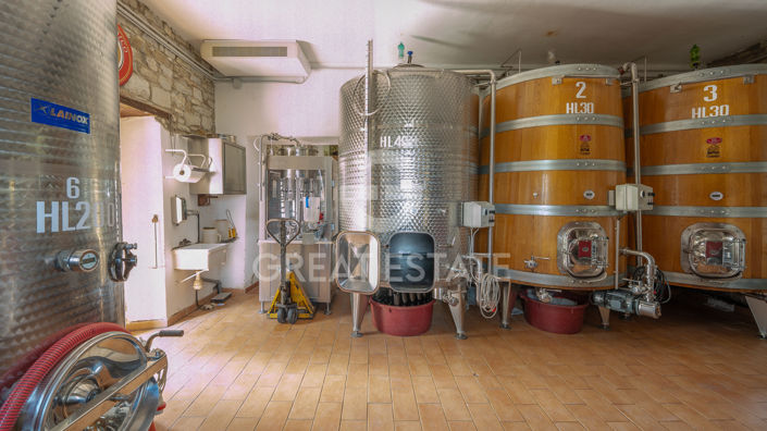 Image No.45-4 Bed Country House for sale