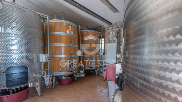 Image No.46-4 Bed Country House for sale