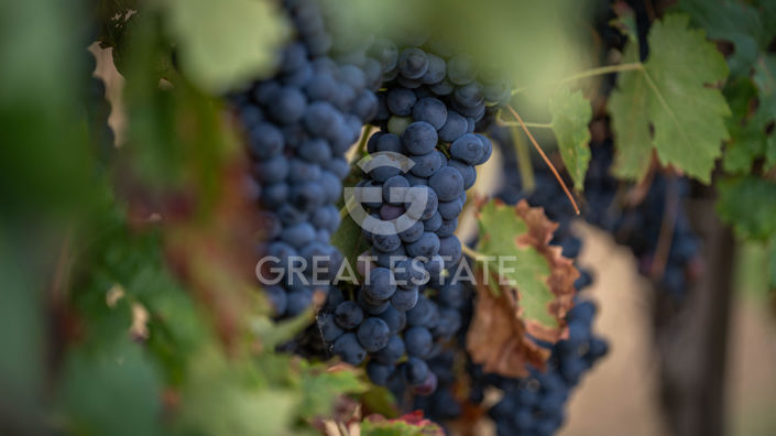 Image No.47-4 Bed Country House for sale