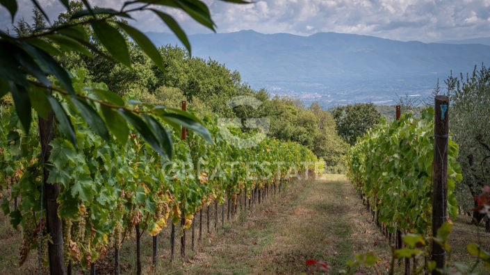 Image No.48-4 Bed Country House for sale