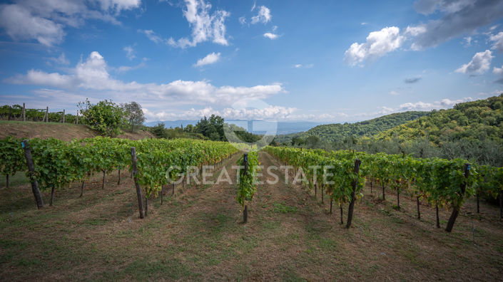 Image No.49-4 Bed Country House for sale