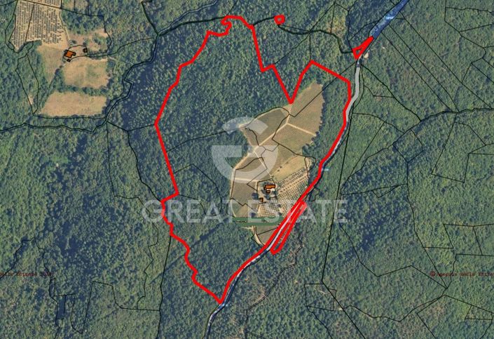 Image No.1-floorplan-1