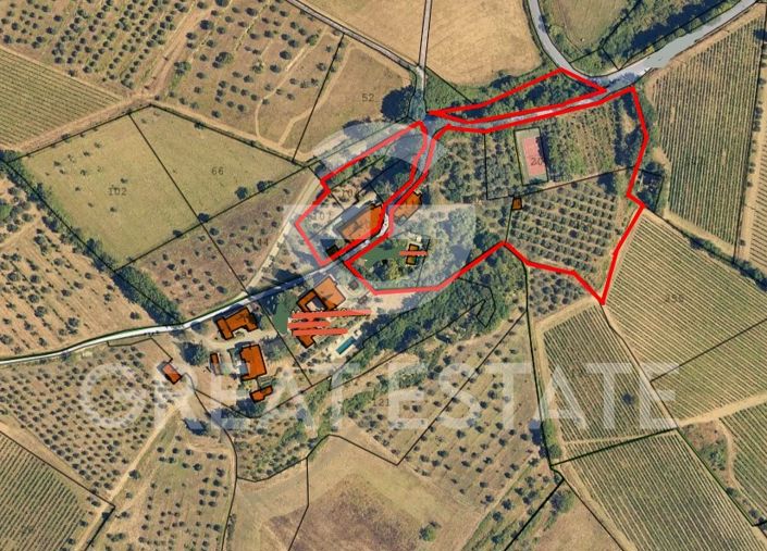 Image No.2-floorplan-2