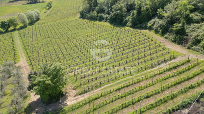 vendesi-rustico-casale-in-toscana-siena-san-g