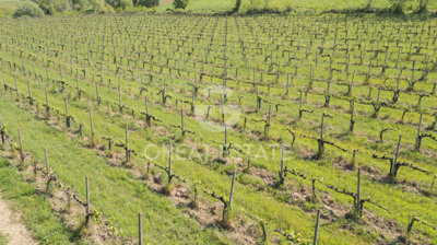 vendesi-rustico-casale-in-toscana-siena-san-g