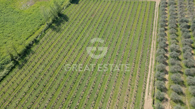 vendesi-rustico-casale-in-toscana-siena-san-g