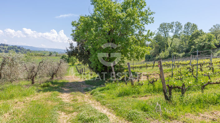 Image No.4-Maison de campagne à vendre à San Gimignano