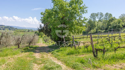 vendesi-rustico-casale-in-toscana-siena-san-g