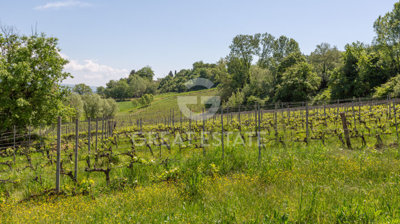 vendesi-rustico-casale-in-toscana-siena-san-g