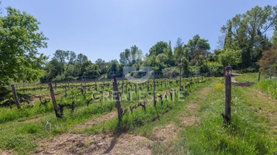 vendesi-rustico-casale-in-toscana-siena-san-g