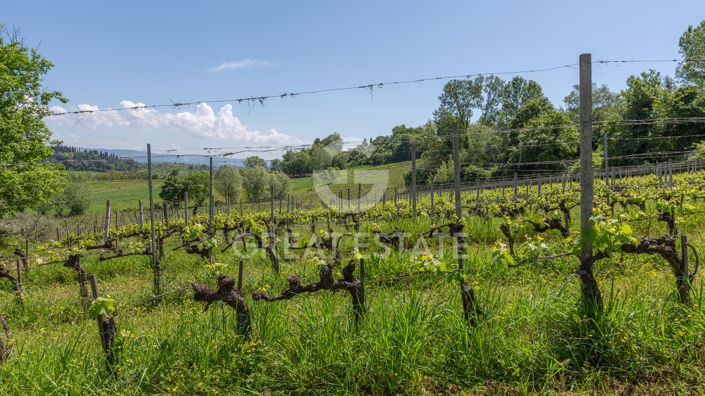 Image No.7-Maison de campagne à vendre à San Gimignano