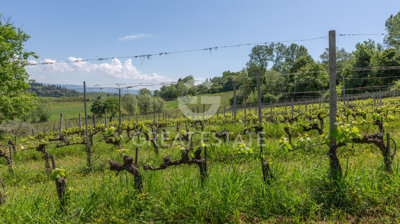 vendesi-rustico-casale-in-toscana-siena-san-g