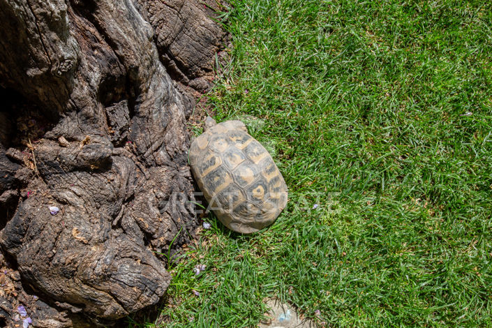 Image No.19-9 Bed Country House for sale