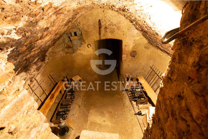 Image No.50-9 Bed Country House for sale