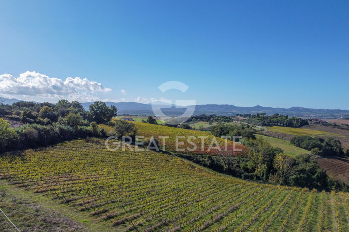 Image No.57-4 Bed Country House for sale