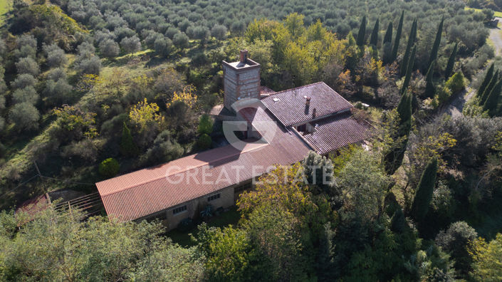 Image No.9-7 Bed Country House for sale