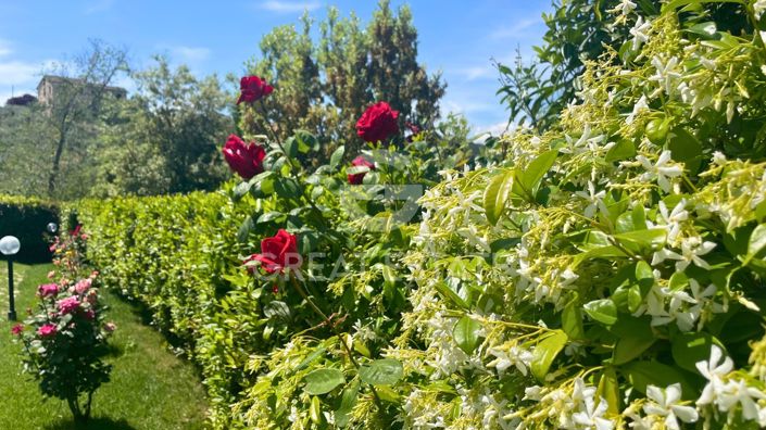 Image No.19-4 Bed Country House for sale