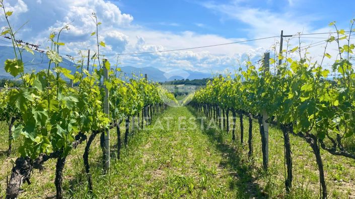 Image No.49-4 Bed Country House for sale