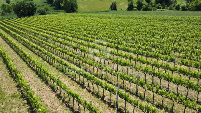 Image No.50-4 Bed Country House for sale