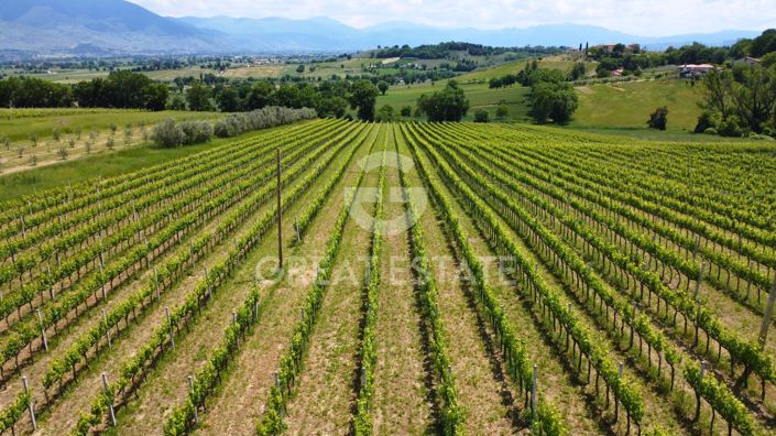 Image No.51-4 Bed Country House for sale