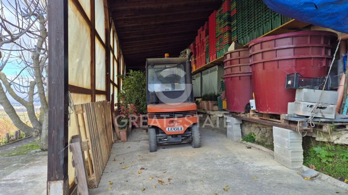 Image No.57-4 Bed Country House for sale