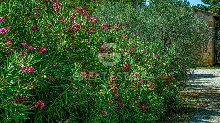 Image No.15-7 Bed Country House for sale