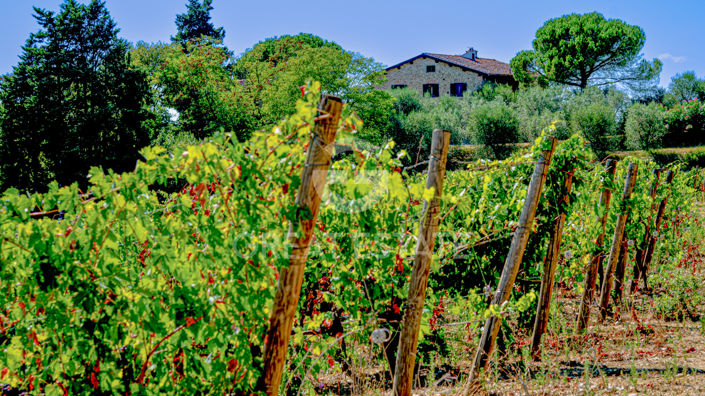 Image No.17-7 Bed Country House for sale