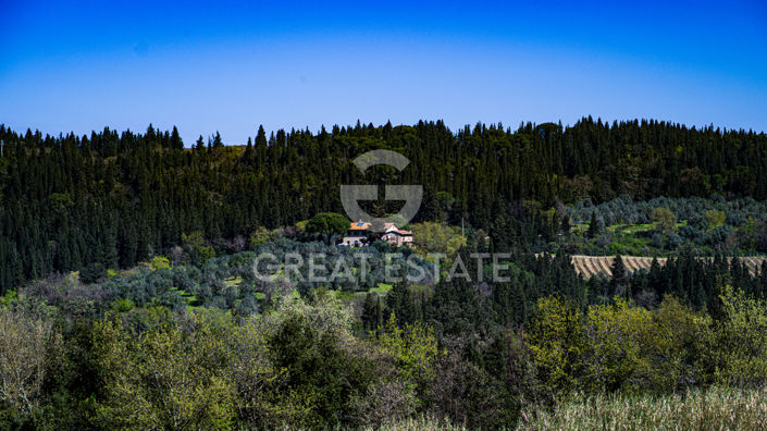 Image No.9-7 Bed Country House for sale