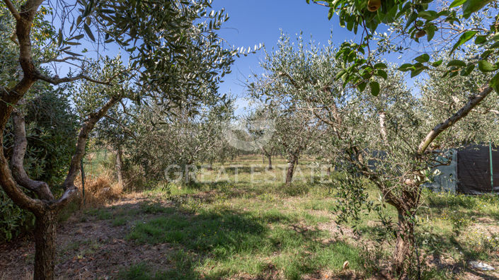 Image No.11-5 Bed Villa for sale