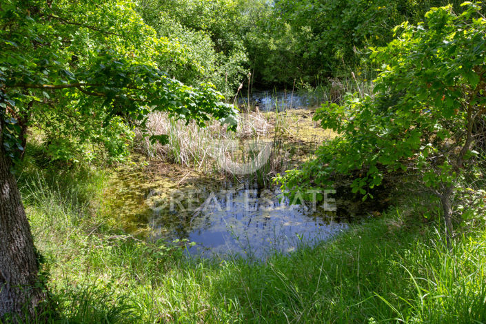 Image No.15-7 Bed Country House for sale