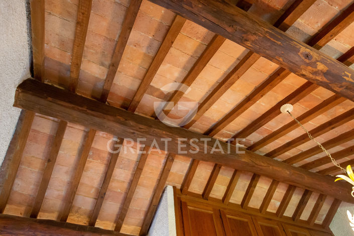 Image No.21-7 Bed Country House for sale