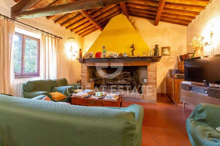 Image No.7-7 Bed Country House for sale