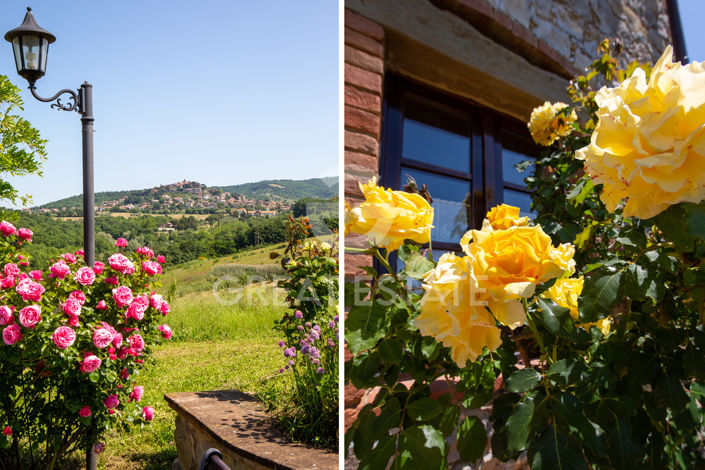 Image No.41-7 Bed Country House for sale