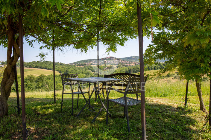 Image No.42-7 Bed Country House for sale